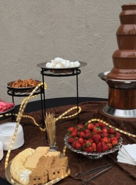 chocolate-fountain-rental-ccs-sweet-sensations (2)